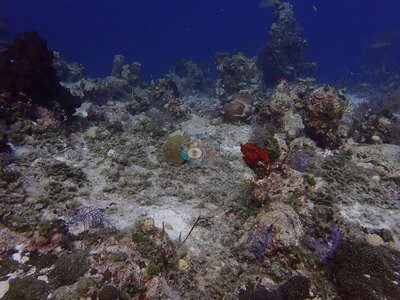 Image 6