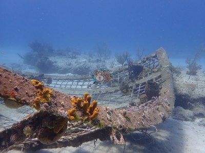 Image 39